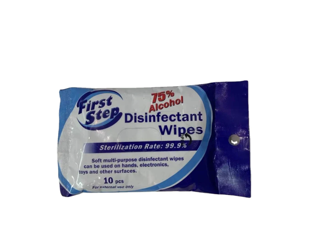 Refreshing Wet Wipes Travel Size Disinfecting Wipes Sanitizes/Cleans/Deodorizes Bulk Wipes