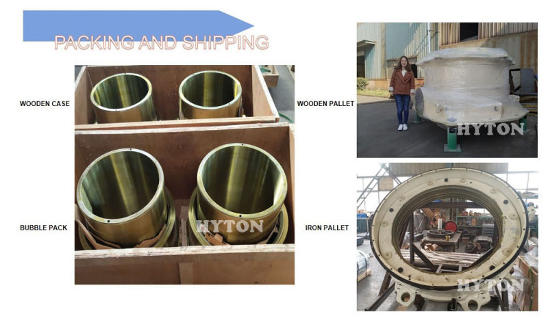 Hyton Spares Parts U Seal T Seal Suit Nordberg HP700 HP800 Stone Cone Crusher Replacement Parts
