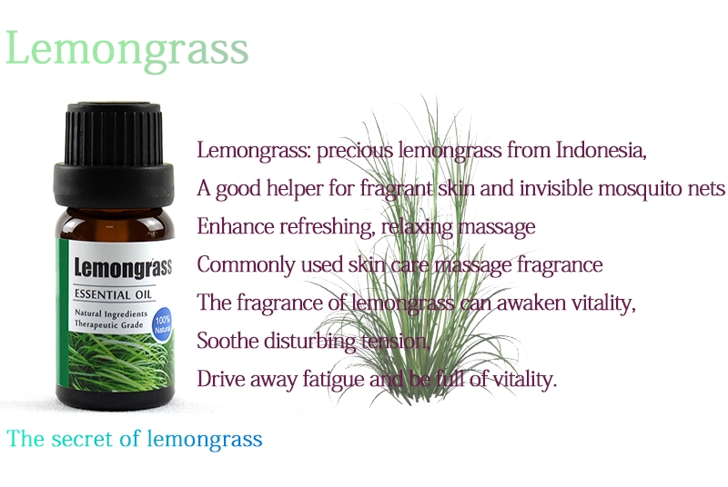 Natural Pure Essential Oil Gift Boxed Lemongrass Essential Oil