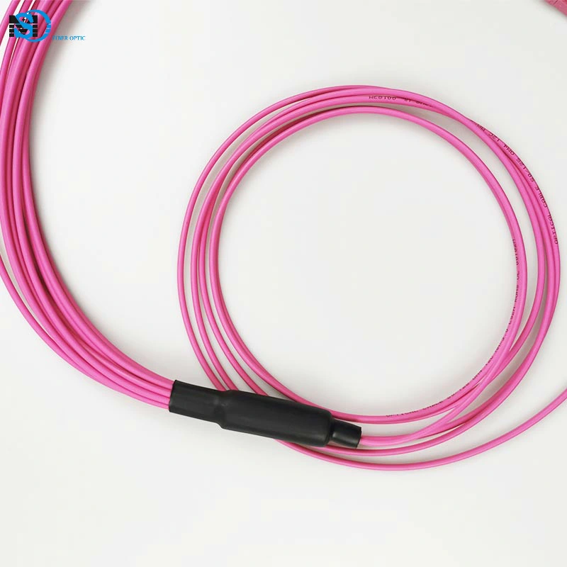 Fiber Optic Patch Cord MPO MTP Male Female to LC Upc 12c 12 Core Om4 Single Mode Sm PVC LSZH 0.9mm 2.0mm 3.0mm