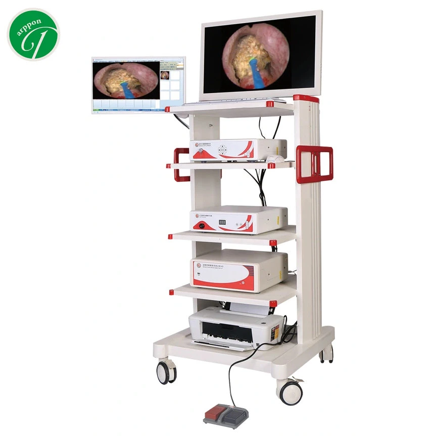 Urology Endoscope Complete Set for Cystoscopy Sinoscope