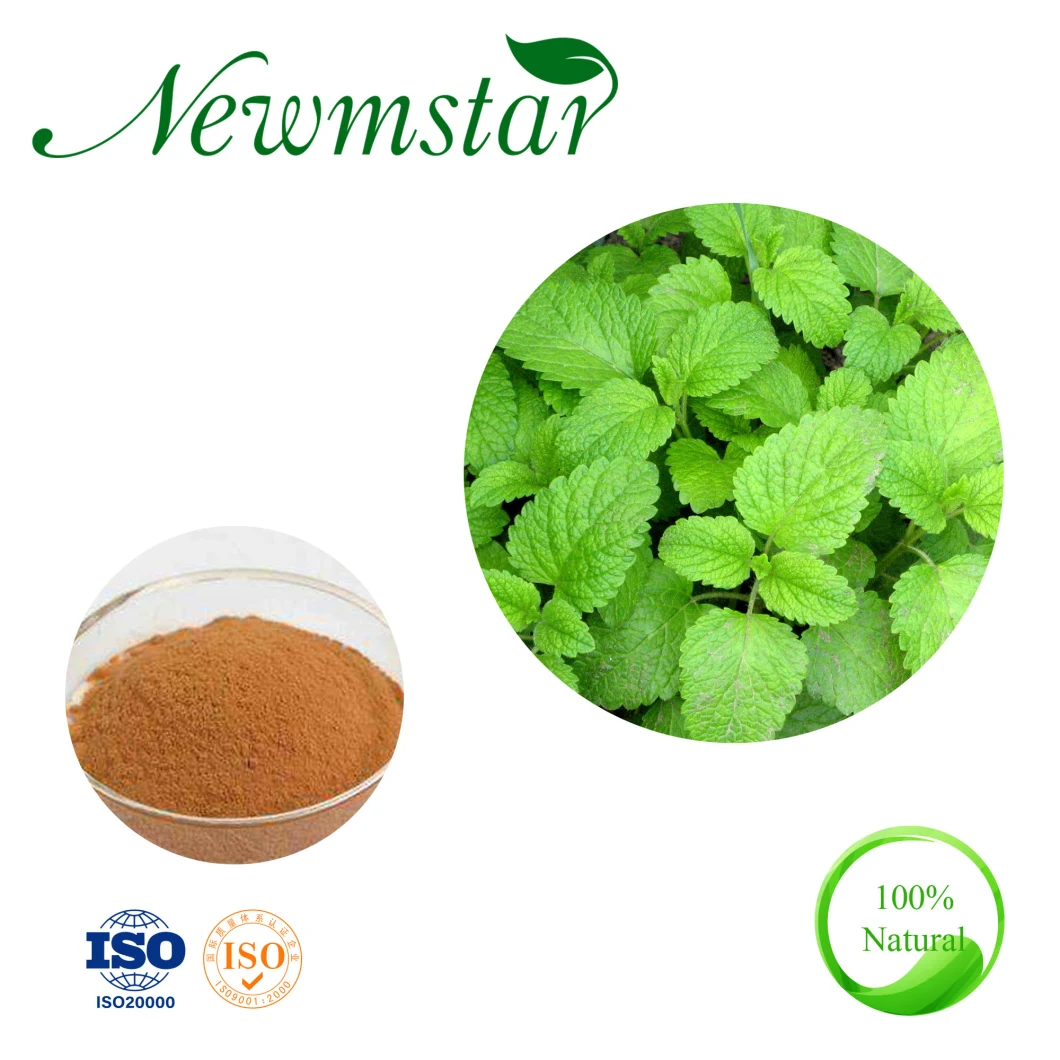 Wholesale Customized Service Organic Melissa Officinalis Leaf Extract Lemon Balm Extract for Antioxidant and Antitumor Activity.