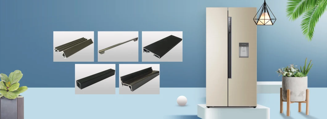 Sound Proof PVC Plastic Profiles for Various Kinds of Refrigerators