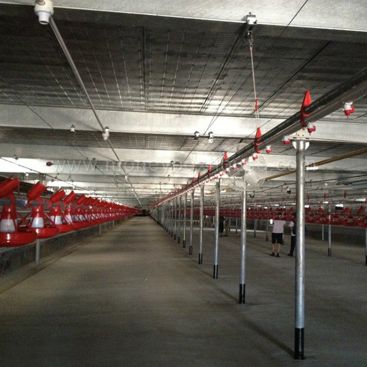 Closed Type Large Scale Environmental Steel Structure Design Poultry Farm Shed