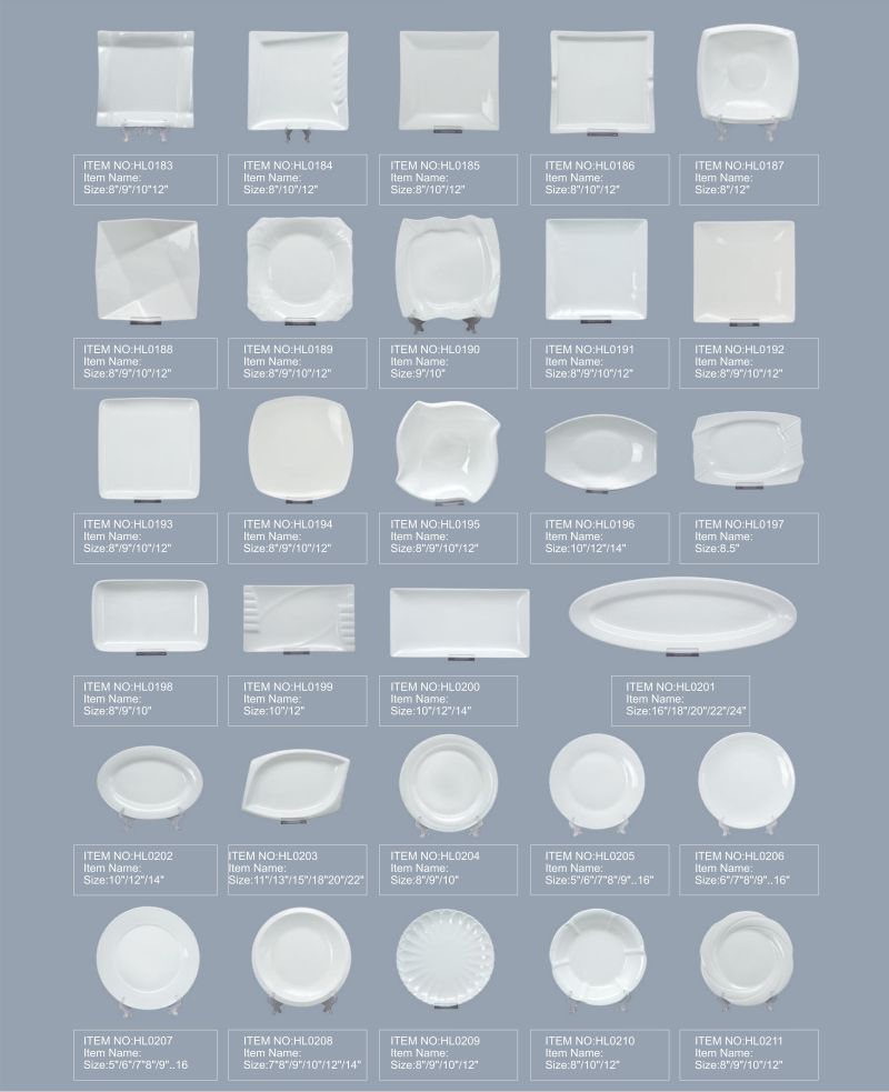 Round Flat Porcelain Plate for Hotels and Restaurants