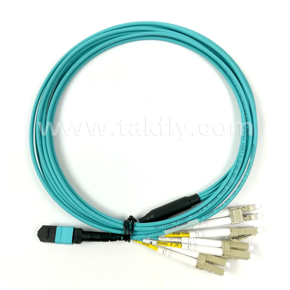 8f 12f 24f 48f OS2 Om3 Om4 MPO Fanout Cable MTP Patch Cord