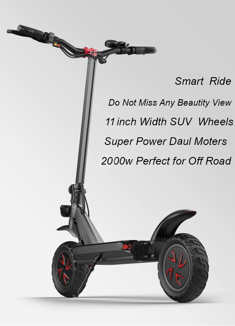 52V 21ah Powerful Long Range off Road Dual Motor Electric Scooters