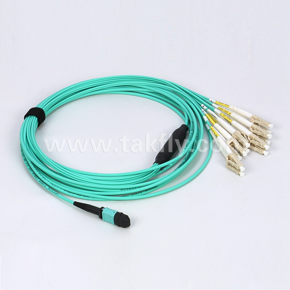 CPR Eca 12/24 Cores MPO/MTP Sm Om3 Om4 Fiber Optic Breakout/Fanout Cable