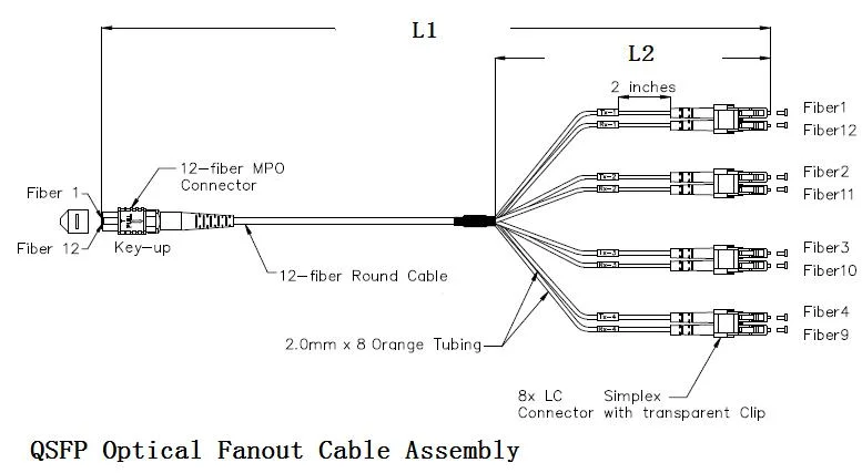 12-24 Cores MPO Hydra Cable Assemblies