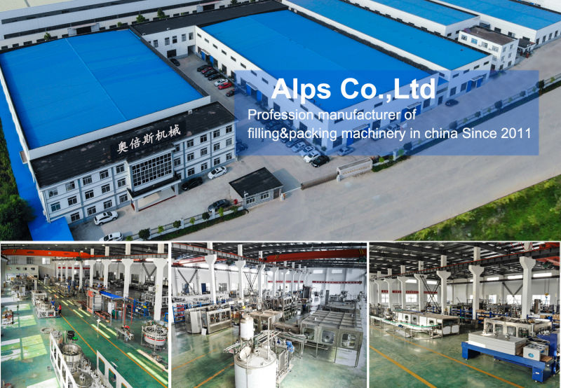 Hot Sale Complete Full Automatic CSD Production Line