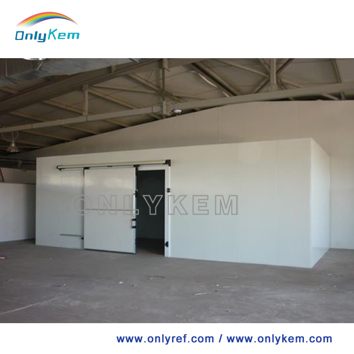 Refrigeration Unit Chiller Room Cold Storage Room for Fruits