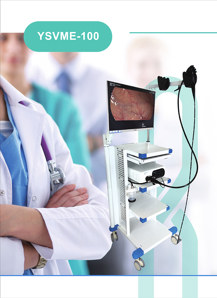 Ysvme-100 Medical Endoscope Video Endoscope Ent Endoscope