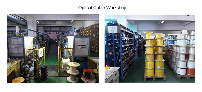 12-24 Cores MPO Hydra Cable Assemblies