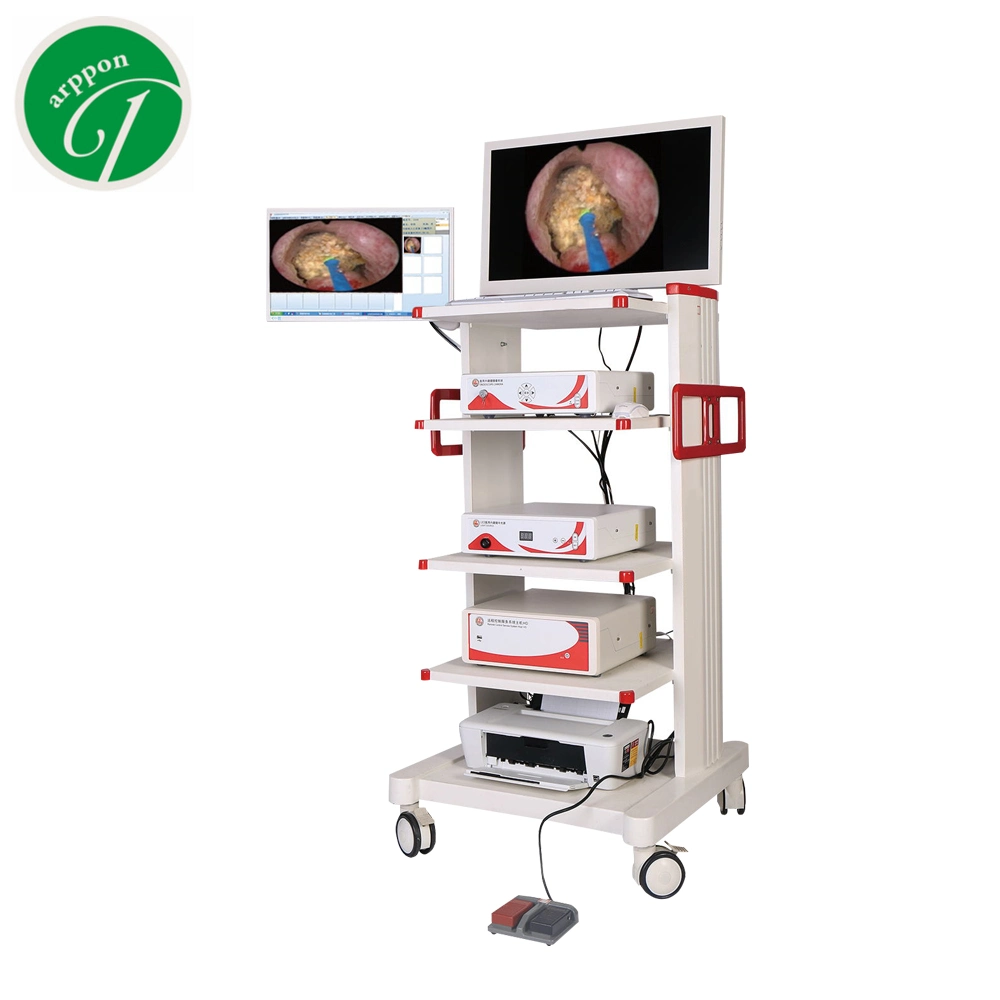 Urology Endoscope Complete Set Cystoscope Endoscope Full Set Medical Portable Endoscope LED Light Source Price