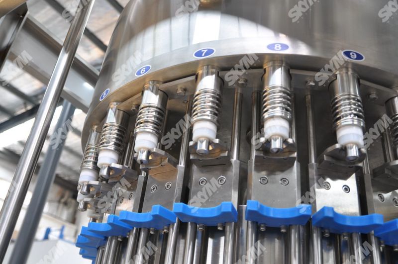 Stainless Steel Industrial RO Water Plant for Filling Bottles