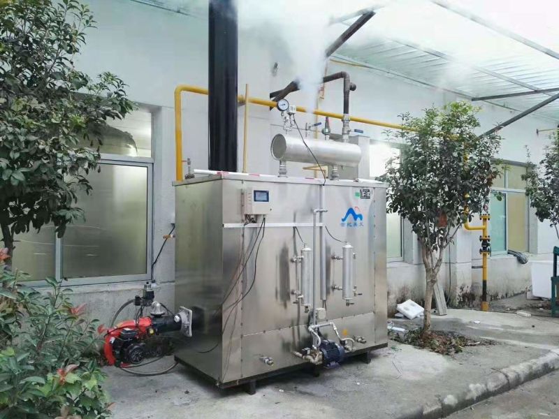 380V Industrial Gas Heater Steam Boiler for Farm