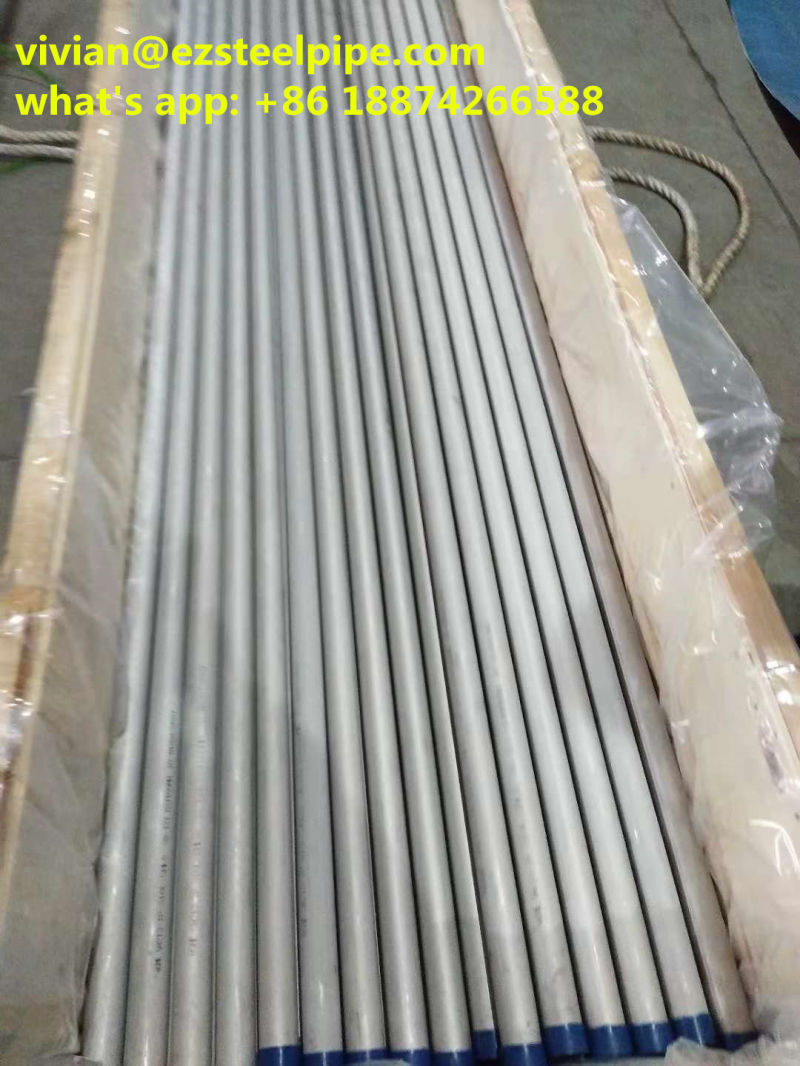 ASTM A213 Cooling Tower Pipe/Heat Exchanger Tube/TP304L