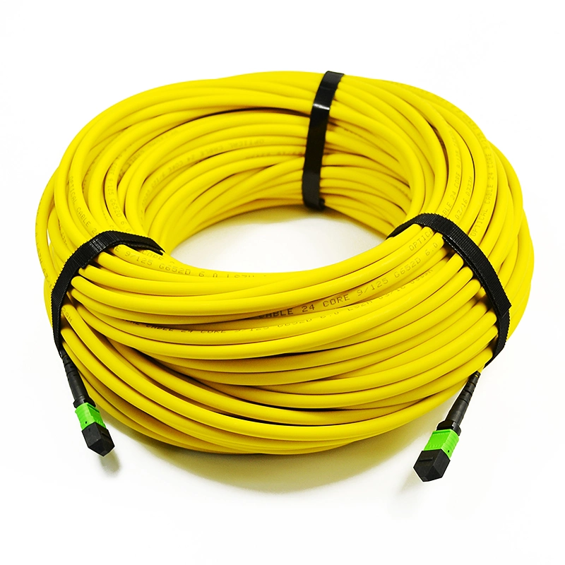 MPO/APC Fiber Optic Trunk Cable 24core 48core Sm Ofnp