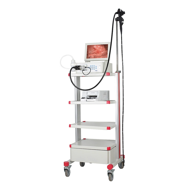 My-W025A Hospital Equipment Portable Endoscopy Medical Endoscope System for Vet