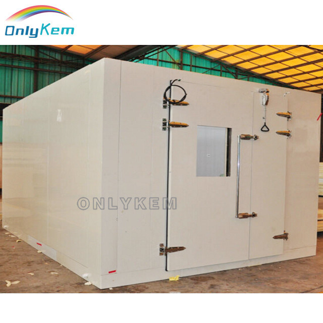 Automatic Cold Room with Electric Control for Food Frozen
