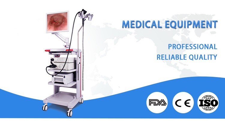 Medical Optical Rigid Ent Mobile Trolley Endoscope System, Surgery Flexible Video Endoscopy Complete Set with Camera