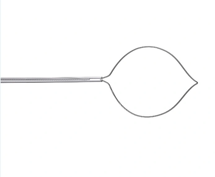 Endoscopy Accessories! Rotatable Polypectomy Snare Device with Ce