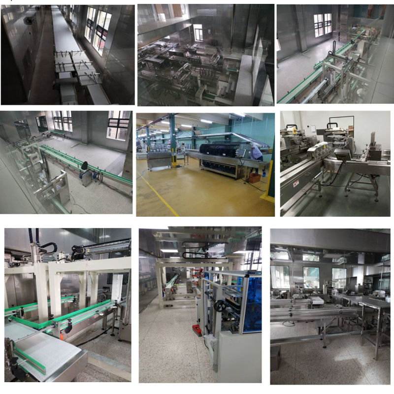 Automatic Arrangement Packing Line with Ce Certification