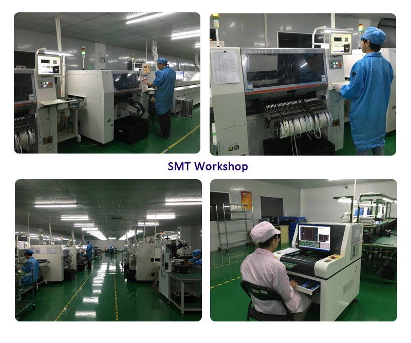 Flexible Board PCBA with SMT DIP Technology Services