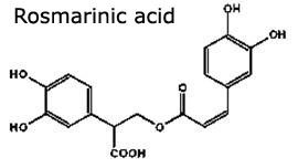 3% Rosmarinic Acid/4: 1 Lemon Balm Extract for Food and Cosmetics