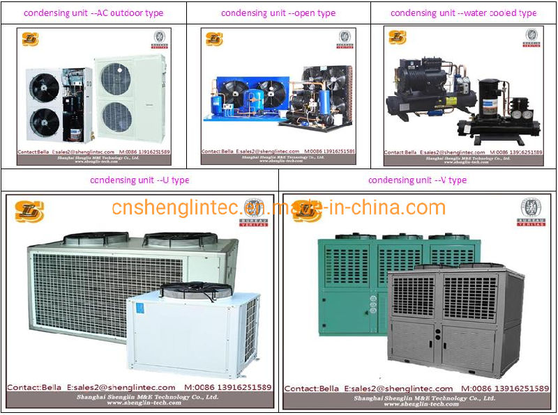 Walk in Refrigeration Units for Aotumatic Vegetable Quick Freezing Machines