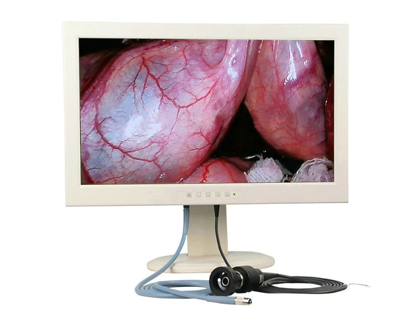 Desktop Cold Light Source and Camera in One Set Coms Endoscope Camera System