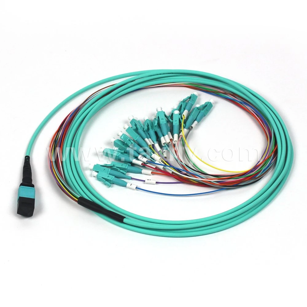 24 Cores Multimode MPO Trunk Cable Fiber Optic Patchcord