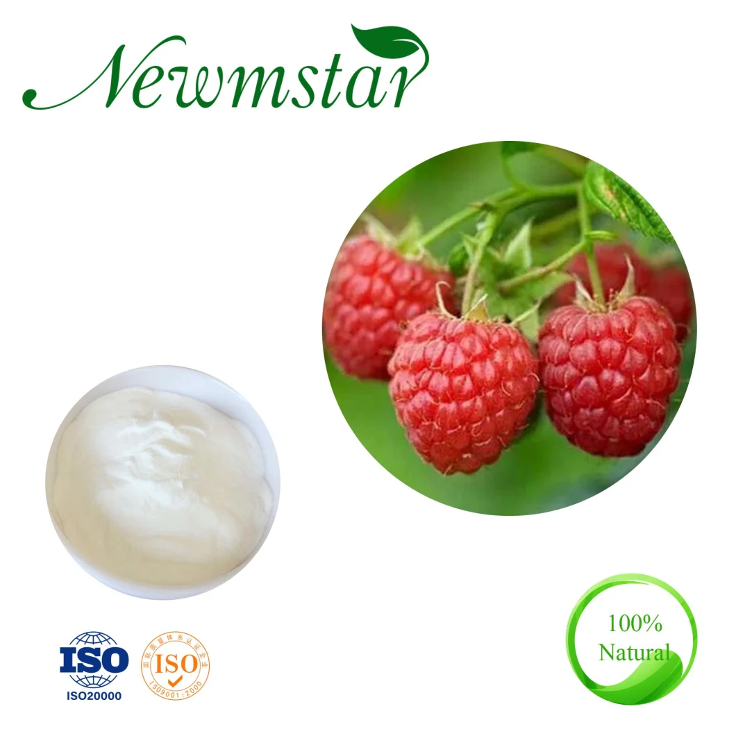 Factary Price Raspberry Extract 80%-98%, for Improving Immunity