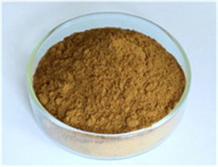 Ginkgo Biloba Extract/Ginkgo Biloba Extract Supplier/Ginkgo Biloba Extract Powder/Yellow-Brown