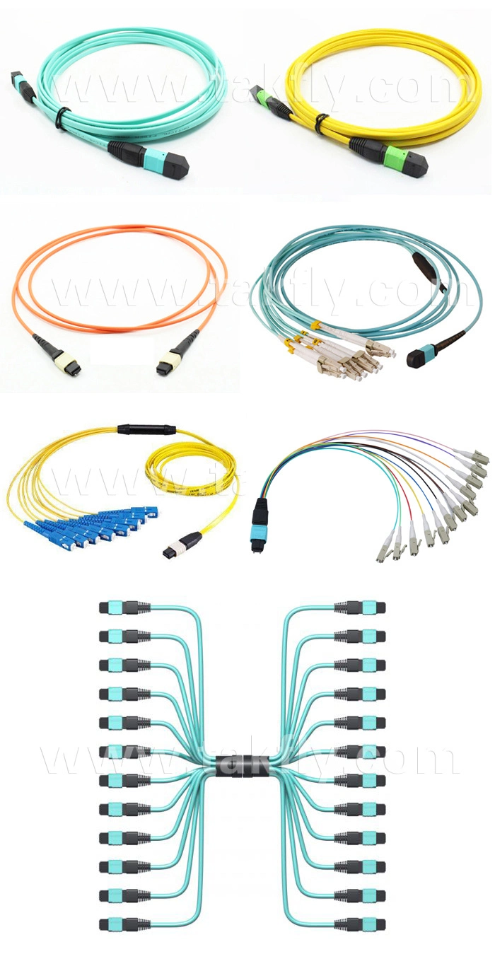 MPO MTP 12 24 Fibers Sm Om1 Om2 Om3 Om4 Om5 Trunk Cable