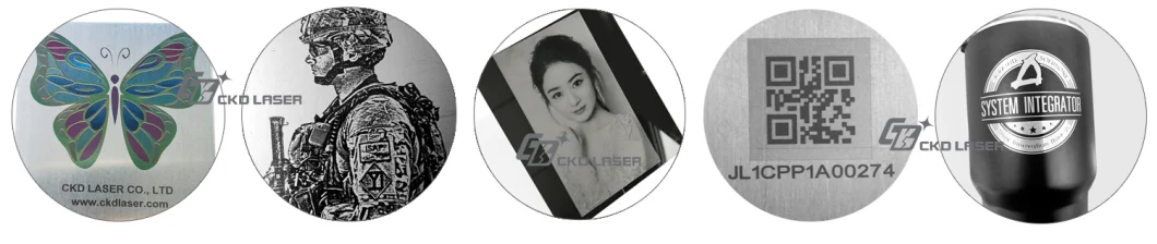 Metal PCB Plastic Logo Printing Machinery by Fiber Laser Quickly Acuratelly