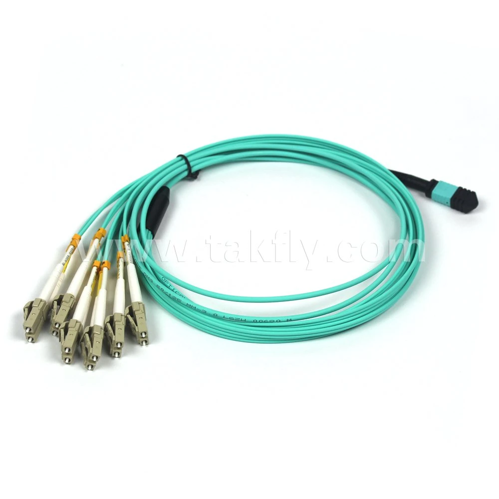 24 Cores Multimode MPO Trunk Cable Fiber Optic Patchcord