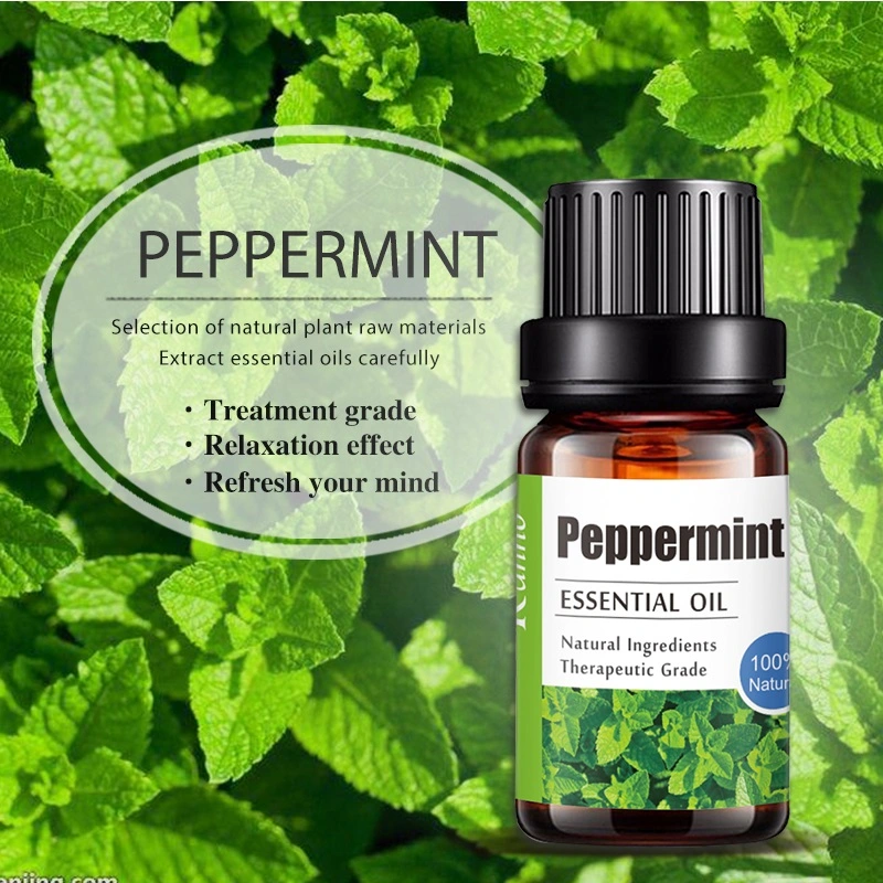 Wholesale 10ml Therapeutic Grade 100% Natural Peppermint Essential Oil OEM/Obm Single Essential Oil