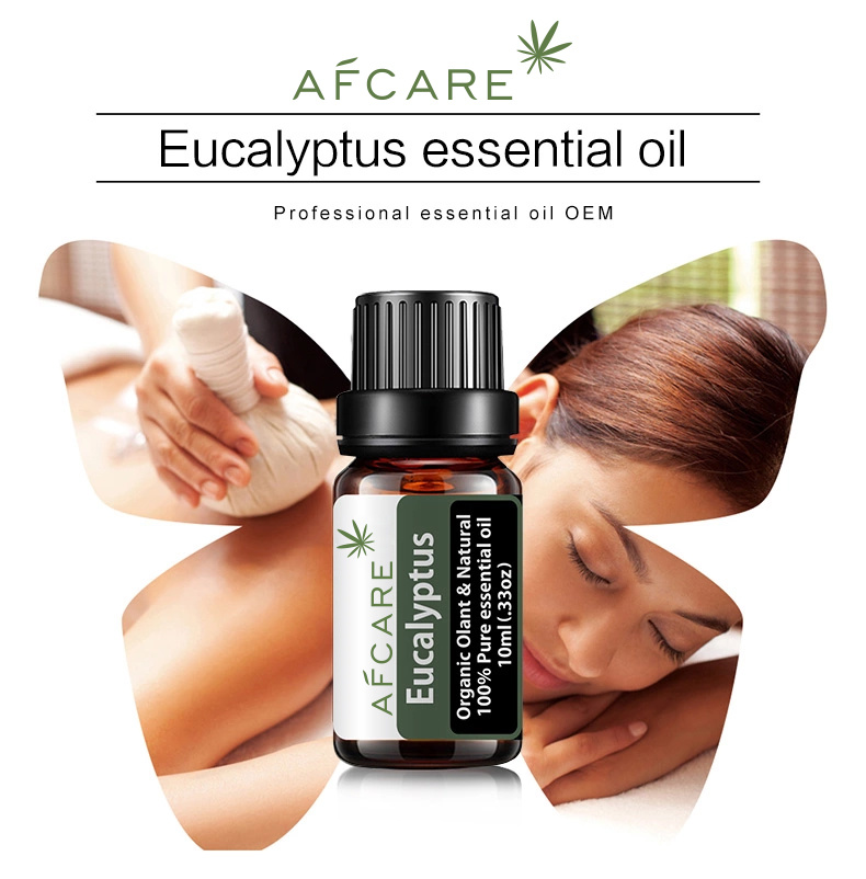 Private Label 100% Natural Eucalyptus Essential Oil for Perfume Spray Natural Massage Oil