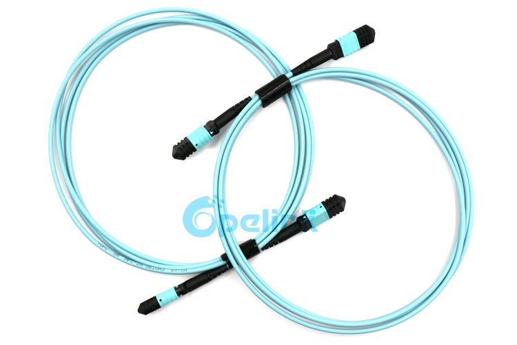 MPO/MTP 12 Cores Round Cable Sm Fiber Optic Patchcord