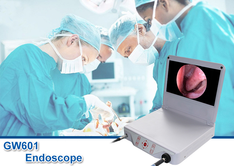CCD Medical Nasal Ent Endoscope Camera with LED Light Source