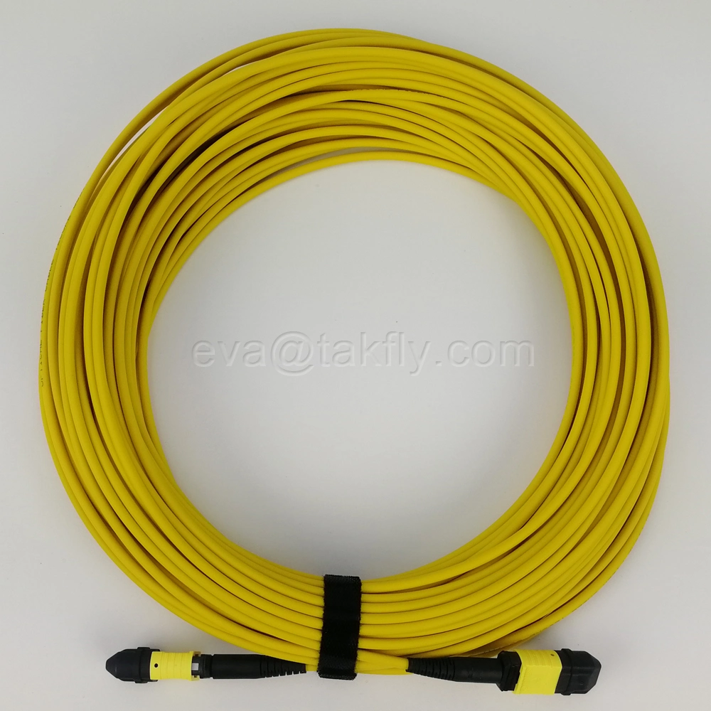 8f 12f 24f 48f OS2 Om3 Om4 MPO Fanout Cable MTP Patch Cord