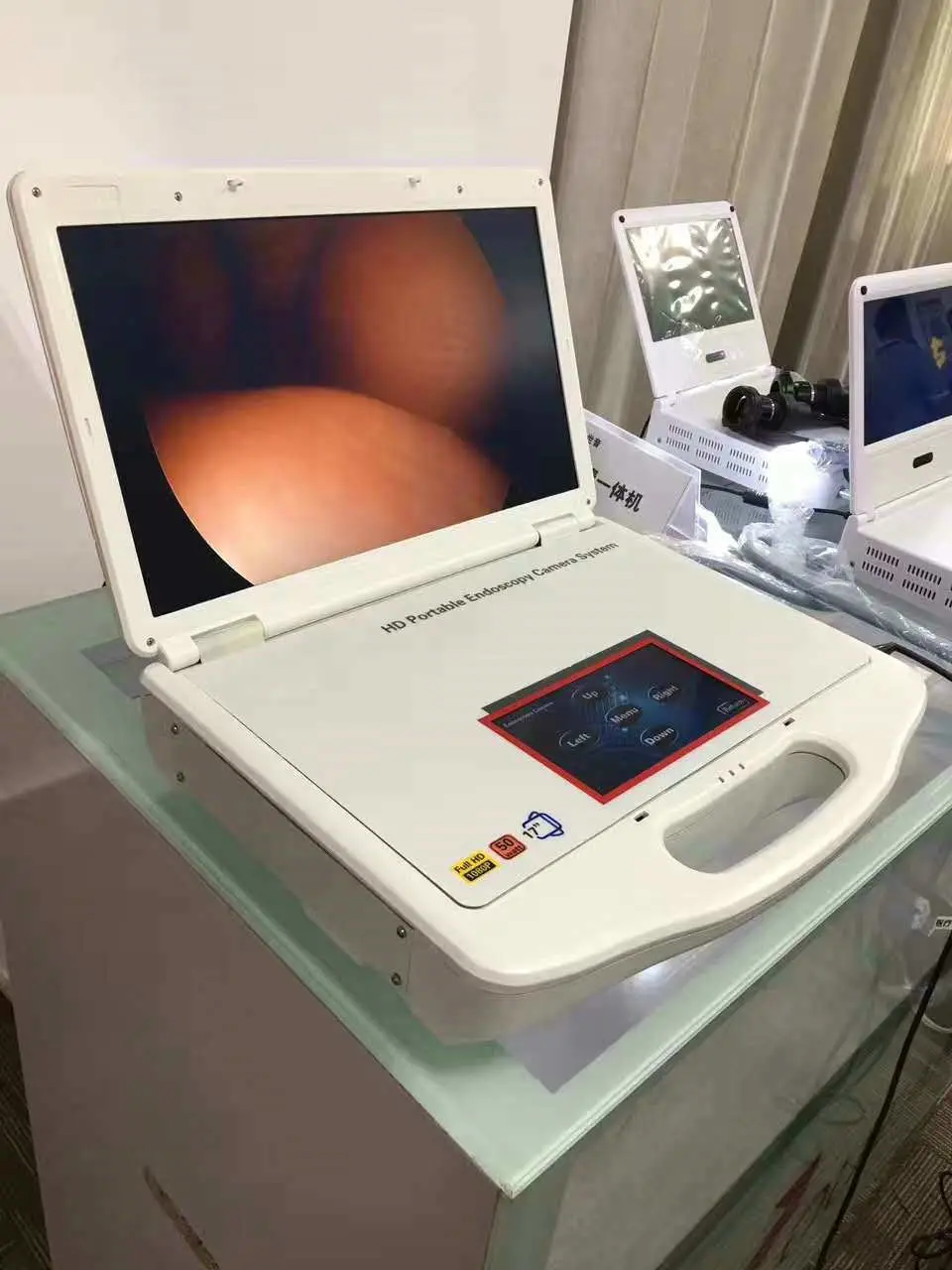 All in One Laptop Endoscopic Camera System for Rigid/Flexible Endoscope