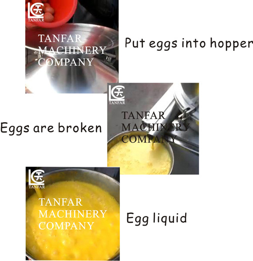 Egg Shell and Egg Liquid Separator