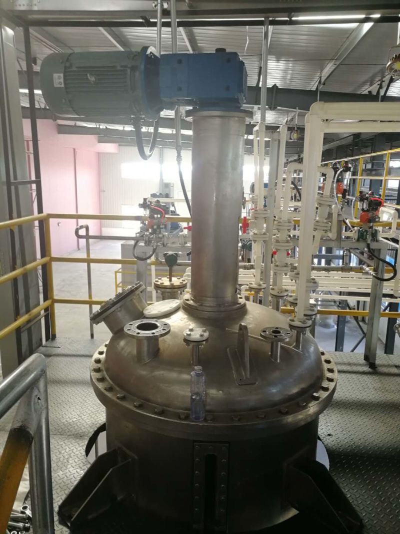 Stir System Vertical Pressure Vessel Biological Fermentation Tank with Mixer/Bioreactor