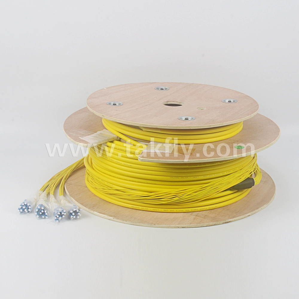 48f 24f 12f Sc LC Multi-Fiber Breakout Patchcord Pigtail