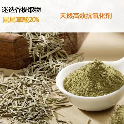 Ursolic Acid 20% Carnosic Acid 20% Rosmarinus Officinalis Rosemary Extract