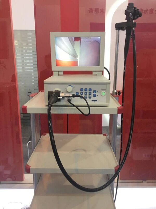 My-W025A Hospital Equipment Portable Endoscopy Medical Endoscope System for Vet