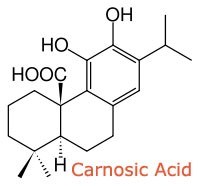 High Quality 98% Rosmarinic Acid / Rosemary Extract CAS. 20283-92-5