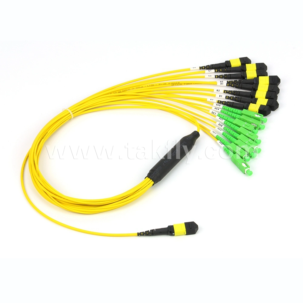 Optical Fiber Cable MPO-LC mm Sm Fiber Optic Patchcord